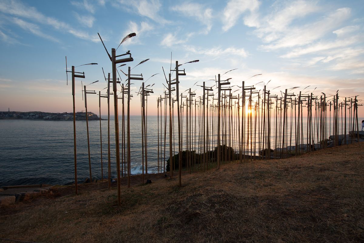 Many bamboo poles inserted into the ground to make a huge musical instrument
